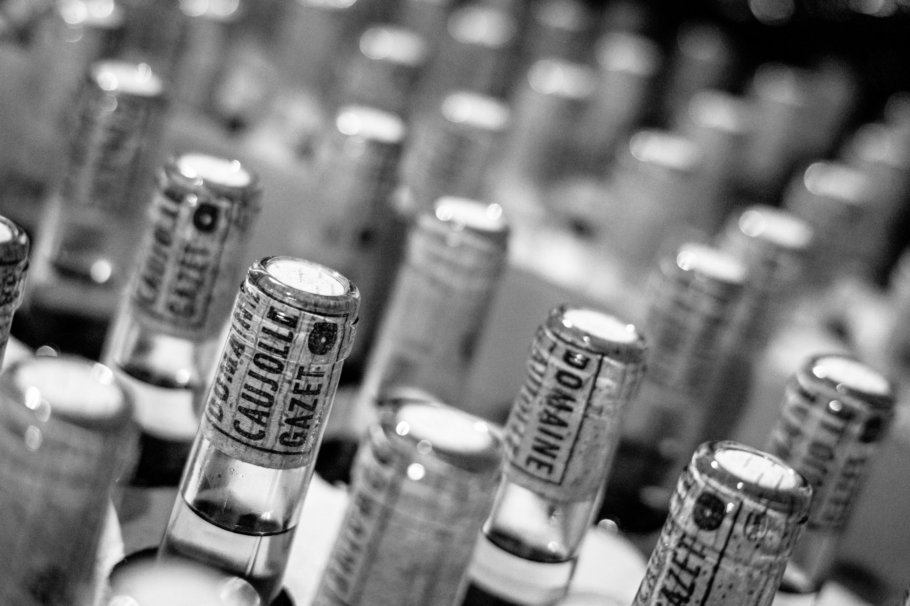 Séjour MdV - Domaine Caujolle Gazet