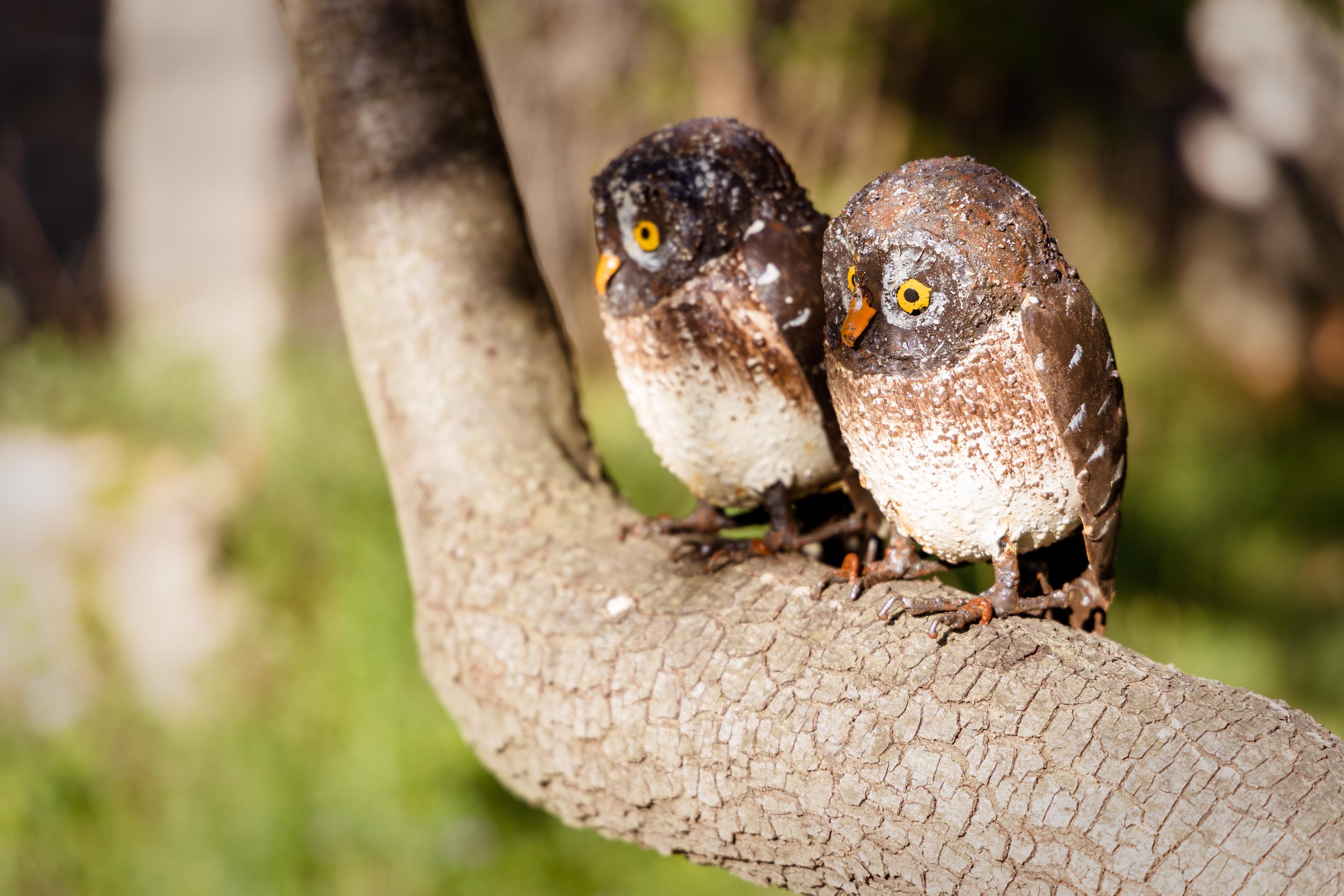 Séjour MdV - Visite du domaine de la Chouette du Chai