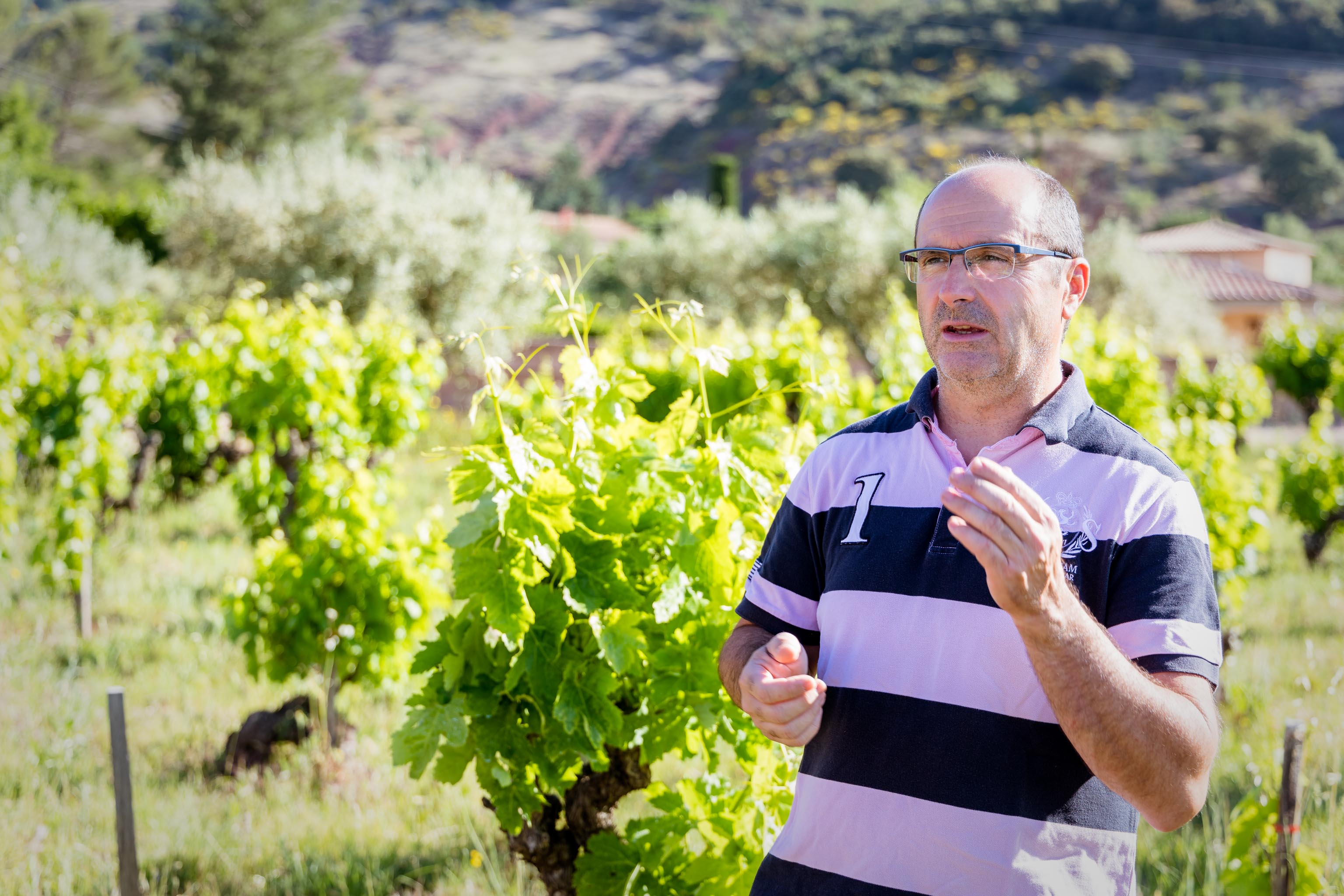 Séjour MdV - Visite du Mas de Salagou