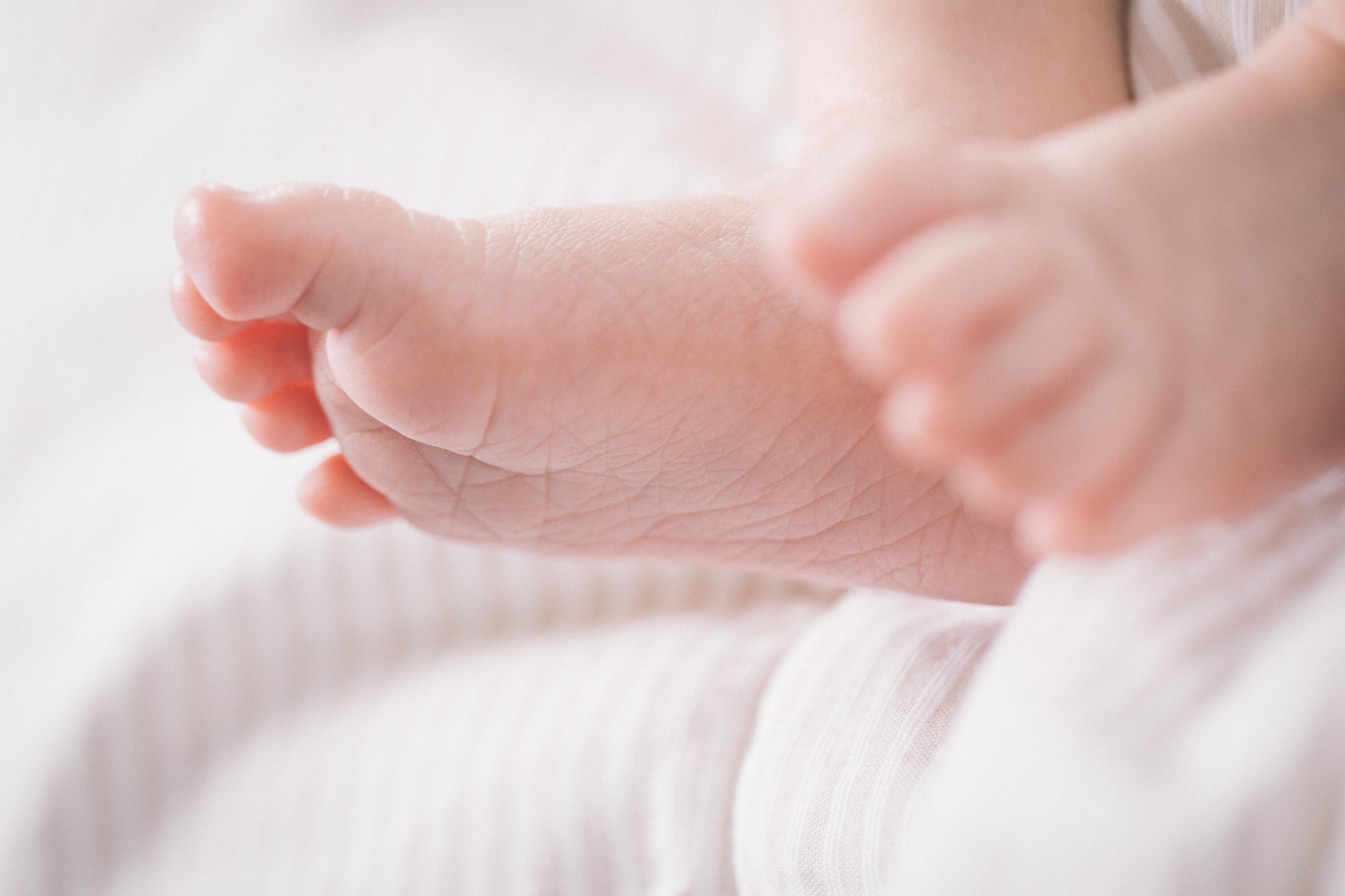 Amorian - Une autre suite